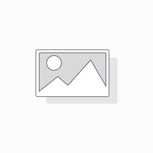 DRINKS SCHWEPPES GINGER ALE 1L